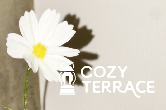 COZY TERRACE オフィシャルサイトOPEN